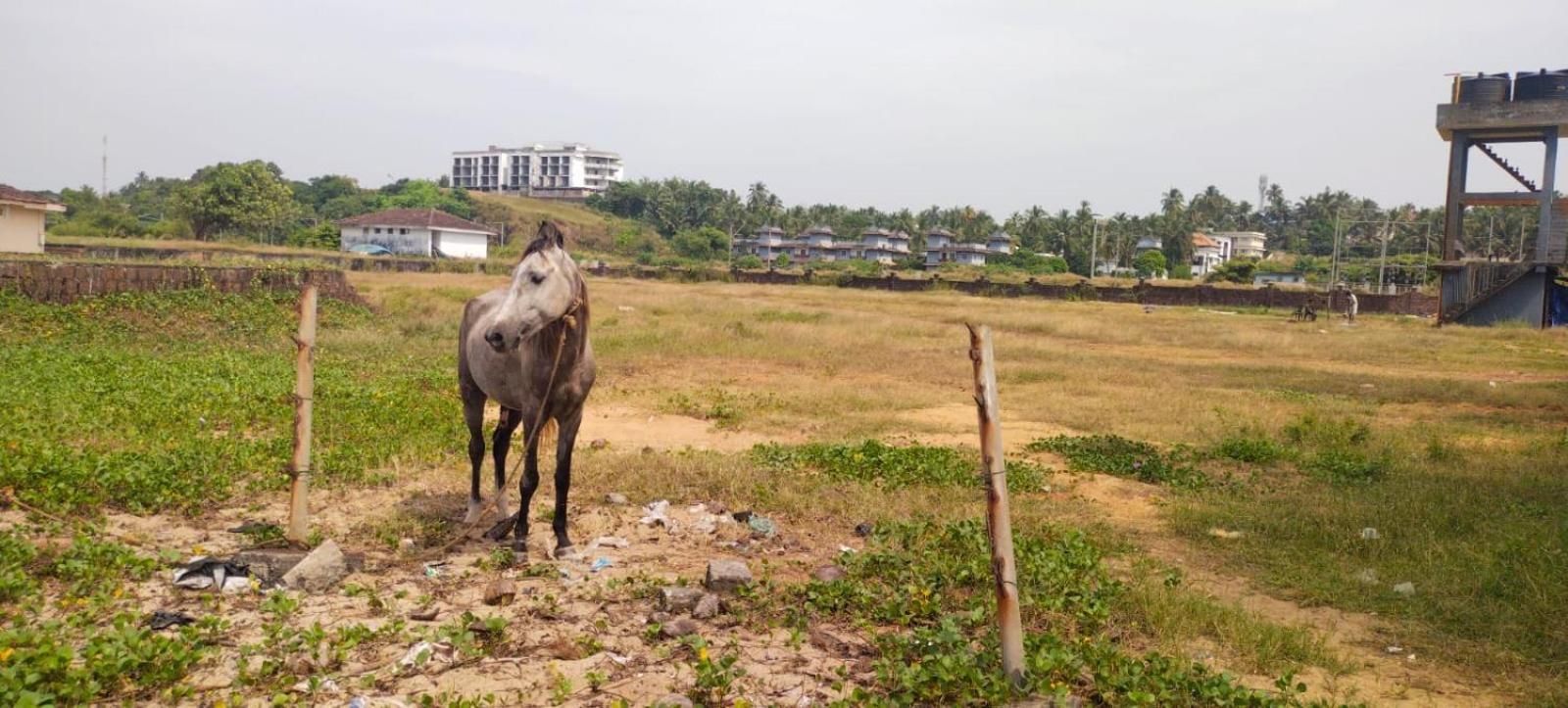 Bekal Fort Beach Resorts Bekal Town Exterior photo